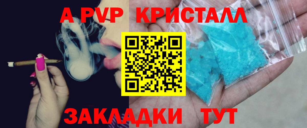 A PVP СК КРИС Мичуринск