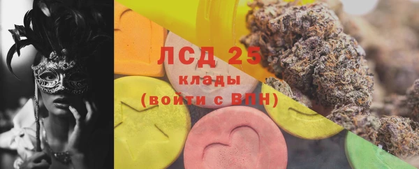 прущие грибы Нея