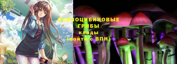 соль ск Новодвинск