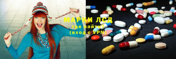 ГАЛЛЮЦИНОГЕННЫЕ ГРИБЫ Новозыбков