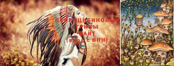 ГАЛЛЮЦИНОГЕННЫЕ ГРИБЫ Новозыбков