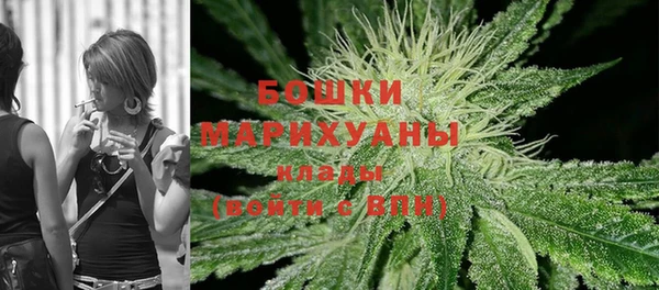 ГАЛЛЮЦИНОГЕННЫЕ ГРИБЫ Новозыбков