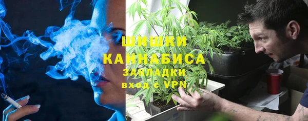 ГАЛЛЮЦИНОГЕННЫЕ ГРИБЫ Новозыбков