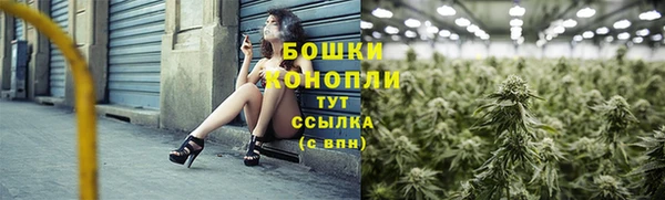 соль ск Новодвинск