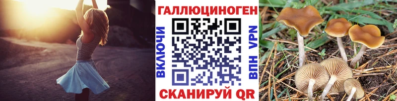 Галлюциногенные грибы мухоморы  Мичуринск 