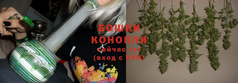 omg ссылки  Мичуринск  Бошки марихуана SATIVA & INDICA 